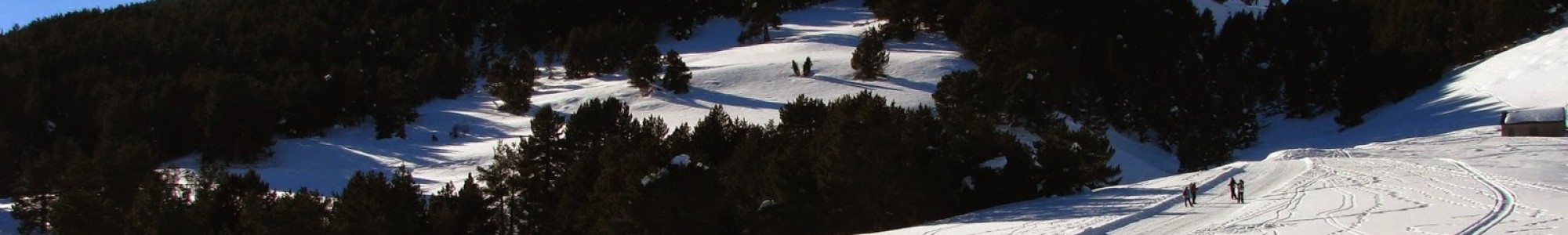 Pendiente nevada con pinos oscuros y pequeñas figuras caminando sobre un sendero de nieve compactada, tonos blancos y verdes oscuros